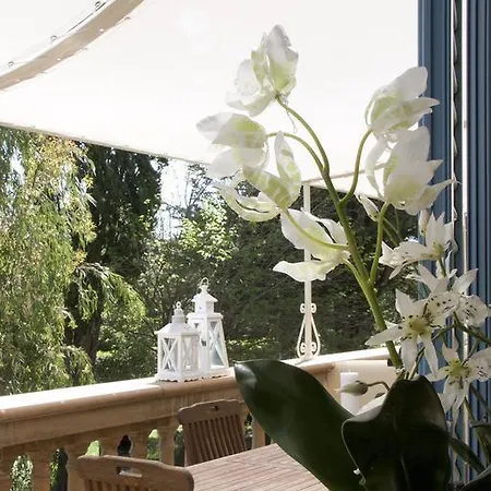 Mazzanta Relais&residence Hotel Vada